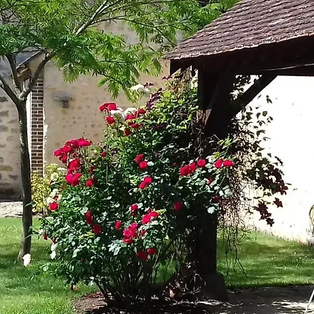 Pensionat Ilot Bonheur 3*